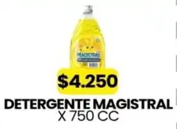 Autoservicio Capo Magistral detergente oferta