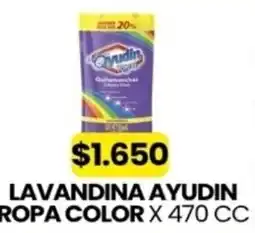 Autoservicio Capo Ayudín lavandina ropa color oferta