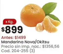 Coto Nova/okitsu mandarina oferta
