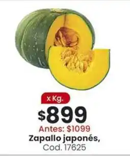 Coto Zapallo japonés oferta