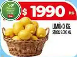 Supermercados DIA Limón oferta