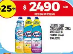 Supermercados DIA Ayudín lavandina engel citrus lavanda/citrica oferta