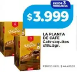 Supermayorista Vital La planta de café café saquitos oferta