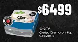 Diarco Okey queso cremoso oferta