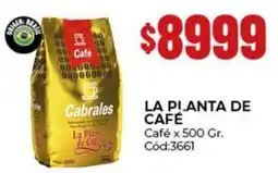 Diarco La pianta de café oferta