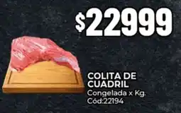 Diarco Colita de cuadril congelada oferta