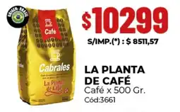 Diarco La planta de café café oferta