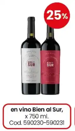 Coto Bien al sur en vino oferta