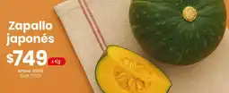 Coto Zapallo japonés oferta