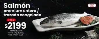 Salmón premium entero / trozado congelado