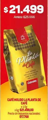 Makro Café molido la planta de café oferta