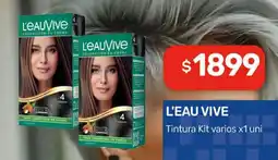 Nini Mayorista L'eau vive tintura kit varios oferta