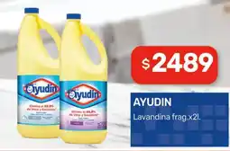 Nini Mayorista Ayudín lavandina frag. oferta