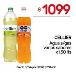 Nini Mayorista Cellier agua s/gas varios sabores oferta