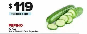Carrefour Pepino kg oferta