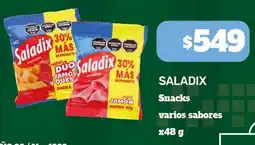 Nini Mayorista Saladix snacks varios sabores oferta