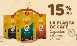 Nini Mayorista La Planta de Café capsulas sabores oferta