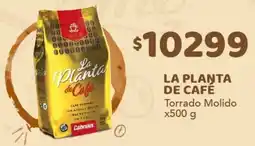 Nini Mayorista La Planta de Café torrado molido oferta