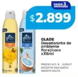 Supermayorista Vital Glade desodorante de amblente floral/coco oferta