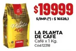 Diarco La planta de café café oferta