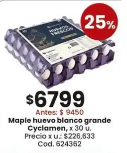 Coto Cyclamen maple huevo blanco grande oferta