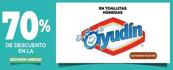 La Anonima Ayudín En Toallitas Húmedas oferta