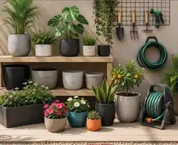 Makro Jardineria oferta