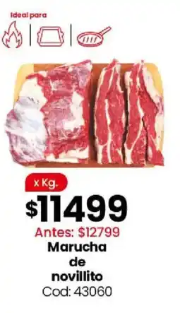 Coto Marucha de novillito oferta