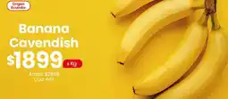Coto Banana cavendish oferta