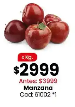 Coto Manzana oferta