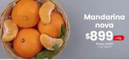 Coto Mandarina nova oferta
