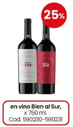Coto Bien al sur en vino oferta