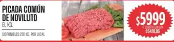 Picada común de novillito