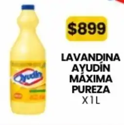 Autoservicio Capo Ayudín lavandina máxima pureza oferta