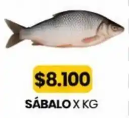 Autoservicio Capo Sábalo oferta