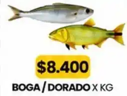 Autoservicio Capo Boga/dorado oferta