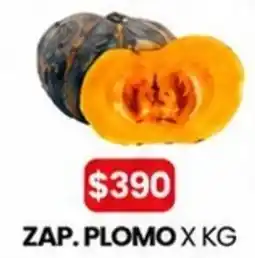 Autoservicio Capo Zap. plomo oferta