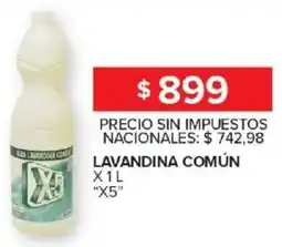 Carrefour X5 lavandina común oferta