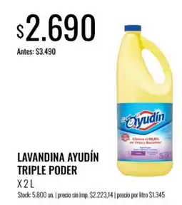 Supermercados Tadicor Ayudín lavandina triple poder oferta