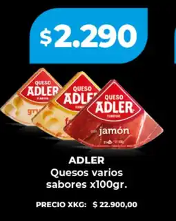 Supermayorista Vital Adler quesos varios sabores oferta