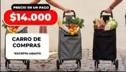 Supermayorista Vital Carro de compras oferta
