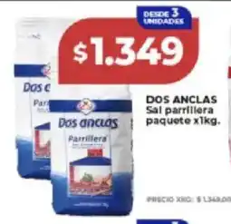 Supermayorista Vital Dos anclas sal parrillera paquete oferta