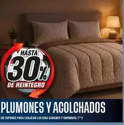Diarco Plumones y acolchados oferta