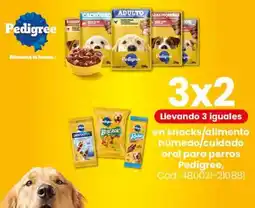 Coto Pedigree en snacks/alimento húmedo/cuidado oral para perros oferta