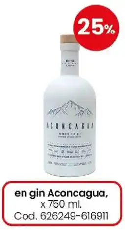 Coto Aconcagua en gin oferta