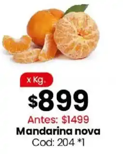 Coto Mandarina nova oferta