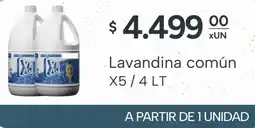 El Milagro Mayorista Lavandina común oferta