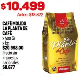 Makro La planta de cafe café molido oferta