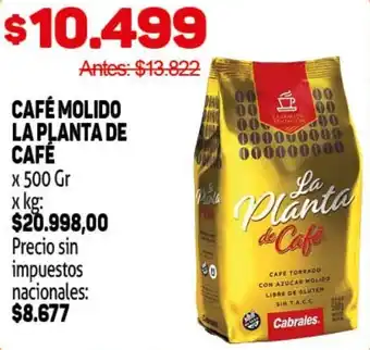 La planta de cafe café molido