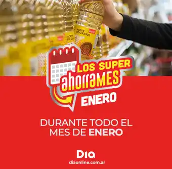 Supermercados DIA Dia Durante Todo El Mes De Enero oferta